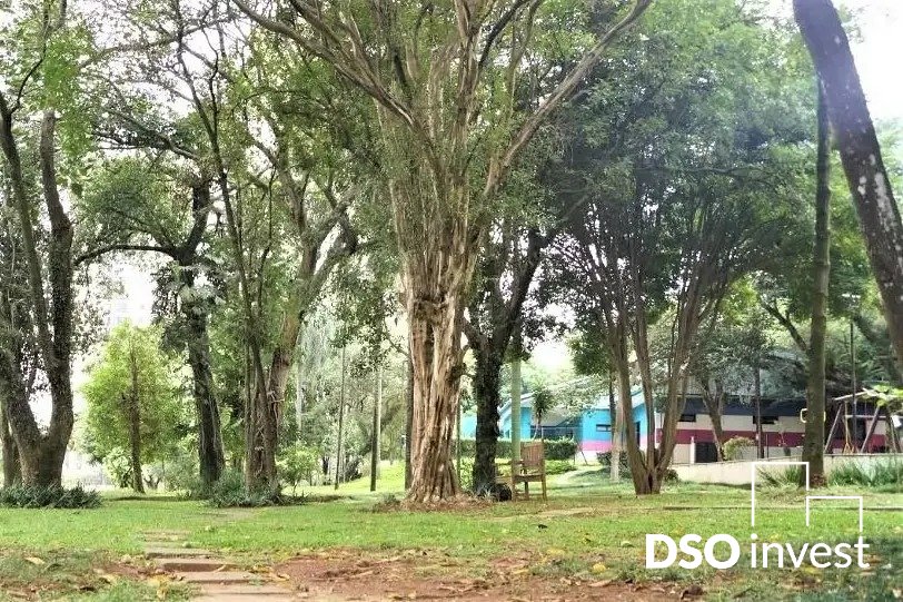 Imagem da propriedade 19508 9
