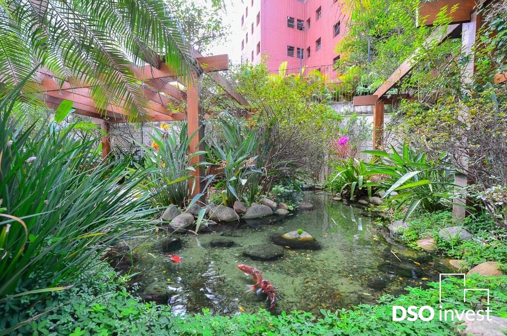 Imagem da propriedade 39