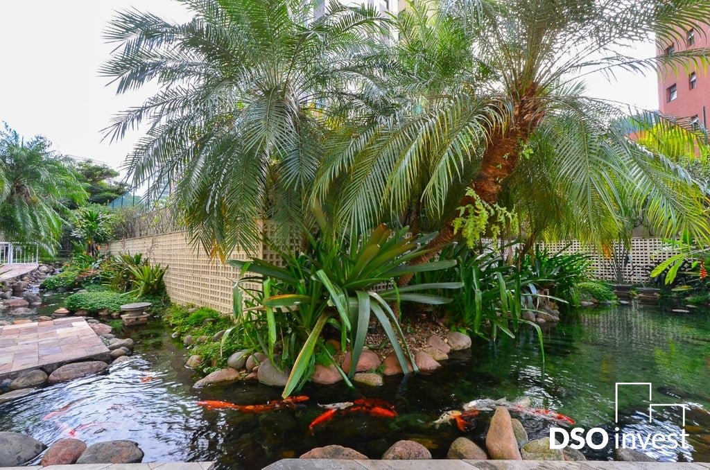 Imagem da propriedade 41